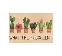 zerbino ingresso casa Regalo di giardinaggio Cactus Succulento Che cosa è lo zerbino Fucculent