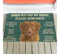 zerbino ingresso casa Regole del Nova Scotia Duck Tolling Retriever's Zerbino