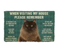 zerbino ingresso casa Ricordatevi le regole della casa per gatti persiani.