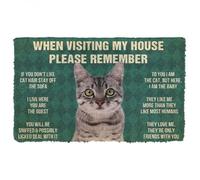 zerbino ingresso casa Ricordatevi le regole della casa per gatti soriani grigi.