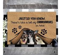 zerbino ingresso casa Solo per farti sapere che ci sono un sacco di Chihuahua qui dentro Zerbino