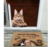 zerbino ingresso casa Solo per farti sapere che ci sono un sacco di gatti qui dentro Zerbino