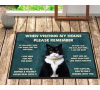 zerbino ingresso casa Torna Gatto A Te Io Sono Il Gatto Ma Eccomi Lo Zerbino Del Bambino