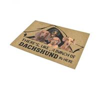 zerbino ingresso casa Un gruppo di bassotti qui dentro Zerbino