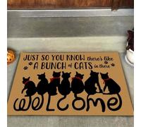 zerbino ingresso casa Un gruppo di gatti lì dentro, zerbino di benvenuto facile da pulire