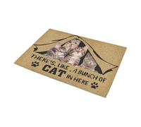 zerbino ingresso casa Un gruppo di gatti qui dentro Zerbino