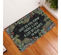 zerbino ingresso casa Un sacco di piante qui dentro Zerbino succulento