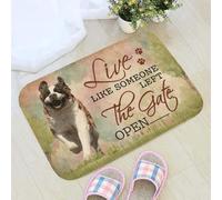 zerbino ingresso casa Vivi come se qualcuno avesse lasciato il cancello aperto, zerbino di San Bernardo