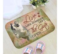 zerbino ingresso casa Vivi come se qualcuno avesse lasciato il cancello aperto Zerbino per cani da pastore delle Shetland