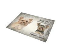 zerbino ingresso casa Yorkshire Terrier: il successo non è la chiave della felicità