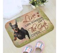 zerbino ingresso casa Zerbino bassotto - Vivi come se qualcuno avesse lasciato il cancello aperto