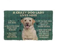 zerbino ingresso casa Zerbino con nome personalizzato Labrador Retriever, una pazza amante dei cani vive qui