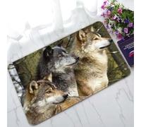 zerbino ingresso casa Zerbino con tre lupi che guardano gli animali