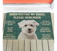 zerbino ingresso casa Zerbino delle Regole di Coton de Tulear