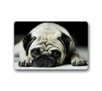 zerbino ingresso casa Zerbino divertente con cane triste