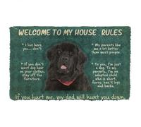 zerbino ingresso casa Zerbino per cani Terranova Benvenuti nelle regole della mia casa Zerbino personalizzato