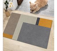 Zerbino Ingresso Ciano Grigio Arancio Tappeto Moderno Poliestere Antivegetativa Zerbino Esterno Addensare Tappeto Ingresso Interno Antiscivolo Tapetto Soggiorno Moderni 40x60cm