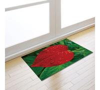 Zerbino Ingresso Esterno Cuore Rosso Verde Tappeto Salotto Poliestere Zerbino Ingresso Interno Moderno Tappeti Soggiorno Cucina Lavabile Tappeto da Esterno Antiscivolo Tappeti Moderni 40x60cm