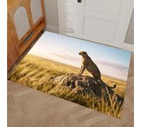Zerbino Ingresso Interno Antiscivolo, 60 x 90 cm Tappeto Ingresso Lavabile In Lavatrice, Leopardo Della Savana Africana Tappeto Interno - Animali Selvatici Tema Zerbino, Arancia