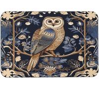 Zerbino Interno Wonderland Barn Owl Tappetino Esterno Resistente Antibatterico Zerbini Per La Casa Posteriori 40X60Cm