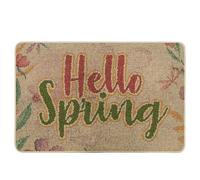 Zerbino lavabile con scritta Hello Spring Word Farmhouse stile rustico libellula fiore pianta rosa verde gomma assorbente decorazioni porta d'ingresso per interni ed esterni impermeabile antiscivolo
