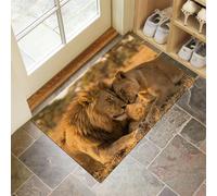 Zerbino Leone Africano Amore, Ingresso Esterno E Interno, 40 x 60 cm Tappeto Realismo Animale Romantico Antipolvere Tappeto Ingresso Casa Resistente Zerbino per Soggiorno Camera Letto