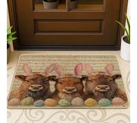 Zerbino nero anteriore per ingresso esterno interno 29 x 17, divertente animale selvatico uova Groovy Outdoor, antiscivolo, piccolo tappeto con stampa per le vacanze, patio, garage, scarpe fuori porta