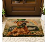 Zerbino nero con cane Rhodesian Ridgeback per il giorno di San Patrizio, esterno interno ingresso 63 x 43 cm, zerbino ultra sottile per esterni, con stampa arcobaleno e scarpe per patio
