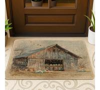 Zerbino nero per ingresso esterno interno 29 x 17, zerbino antiscivolo per esterni con uova di campagna, piccolo tappeto per esterni con stampa di fattoria per le vacanze