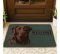 Zerbino per cane, rustico, casual, con faccina di benvenuto, non verde, antiscivolo, intrappola lo sporco sotto lo zerbino, decorazione per la casa, per ingresso, portico esterno, balcone, 73 x 43 cm