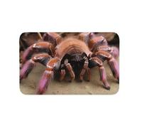 Zerbino per esterni e interni, antiscivolo, grande tarantola rosa messicana, zerbino anteriore per ingresso, portico anteriore, lavanderia, bagno, camera da letto, tappeto 50,8 x 80 cm