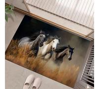 Zerbino per Ingresso, 40x60 cm Zerbino antiscivolo Natura Selvaggia Tappetino di Benvenuto Cavalli Selvaggi, Facile da Pulire Decorazione Per La Casa per Porta, Corridoio e Bagno, Arancione Bruciato