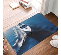 Zerbino per ingresso, zerbino per interni ed esterni, 24" x 16" antiscivolo, zerbino per yacht, tappeto per ingresso, portico anteriore, lavanderia, bagno, camera da letto, tappeto per ingresso
