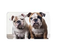 Zerbino per interni con due simpatici cani bulldog tappetini per porta d'ingresso antiscivolo tappetino di benvenuto lavabile 50,8 x 80 cm tappeti per ingresso tappeto super assorbente