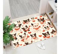 Zerbino per interni,Cucciolo di Boston Terrier,adatto come tappeto da porta, tappetos da cucina, tappeto da bagno, tappetos abbinato,animale, antiscivolo e lavabile, 60 x 90 cm