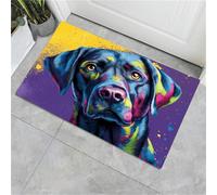 Zerbino per interni,Labrador Retriever colorato,adatto come tappeto da porta, tappetos da cucina, tappeto da bagno, tappetos abbinato,Animali interessanti, antiscivolo e lavabile, 50 x 80 cm