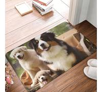 Zerbino per la famiglia di cani, resistente, per interni ed esterni, antiscivolo, assorbente, intrappola lo sporco, a basso profilo, lavabile, tappetino da bagno in flanella, 40,6 x 61 cm