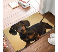 Zerbino per porta d'ingresso, per interni ed esterni, 40,6 x 61 cm, antiscivolo, un simpatico bassotto, assorbente, resistente allo sporco, per ingresso, interni, patio