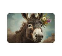 Zerbino per porta d'ingresso, per interni ed esterni, 50,8 x 80 cm, antiscivolo, lavabile, con asino, animali d'asino, tappeto per ingresso, super assorbente