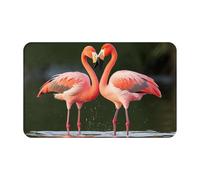Zerbino per porta d'ingresso, per interni ed esterni, 50,8 x 80 cm, antiscivolo, lavabile, con fenicotteri rosa, bacio sul lago, tappeto per ingresso super assorbente