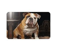 Zerbino per porta d'ingresso, per interni ed esterni, 50,8 x 80 cm, antiscivolo, lavabile, motivo: bulldog inglese, per ingresso, super assorbente