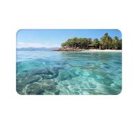 Zerbino per porta d'ingresso, per interni ed esterni, 50,8 x 80 cm, antiscivolo, lavabile, tappetino per porta di benvenuto, isola delle Fiji e trasparente per ingresso, tappeto super assorbente