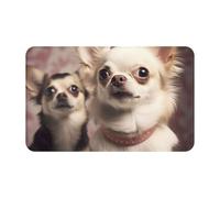 Zerbino per porta d'ingresso, per tutte le stagioni, resistente, per ingresso, zerbino a basso profilo, grazioso tappeto per ingresso chihuahua, assorbente, antiscivolo, 50,8 x 80 cm