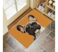 Zerbino Stile Realistico Minimalista Testa Di Bulldog per Ingresso 90 x 150 cm, Antiscivolo e Resistente, Assorbe Acqua e Sporco, Facile da Pulire, Ideale per Porta, Corridoio e Casa,Arancia