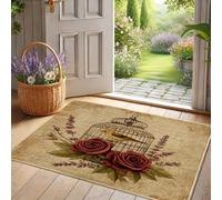 Zerbino vintage a forma di gabbia per uccelli, decorazione rustica con rose rosse per interni ed esterni, tappetino in gomma impermeabile, antiscivolo, facile da pulire, 73 x 43 cm