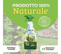 ZeRo Zeolite+Zolfo+Rame Effetto Sinergico 3 Elementi 1 RTU 500 ml