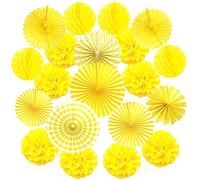 ZERODECO Ventilatori di Carta Decorazione Pompons e Palle a Nido d'Ape per Decorazione della Festa Nuziale Nozze Nidi Tatuaggi Nuziale Doccia Camera della Decorazione della Parete