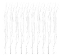 Zerodeko 10 Pezzi Rami Secchi Naturali in Legno Bianco Portatili per Decorazione Casa e Composizioni Floreali in Soggiorno e Caffè