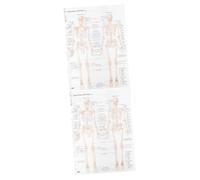 Zerodeko 2 Pezzi Poster muscolare scheletrico poster di anatomia manifesto anatomico anatomia e fisiologia torso scheletro anatomia umana poster del scheletrico panno di seta Beige