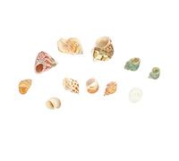 Zerodeko 3 Set Conchiglia paesaggistica per Acquario Casa per granchi eremiti Ornamento Guscio della casa del Granchio eremita Naturale Ornamenti Decorativi per acquari casa del paguro